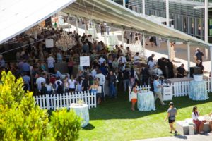 Photo cred: Pencil Box Studios