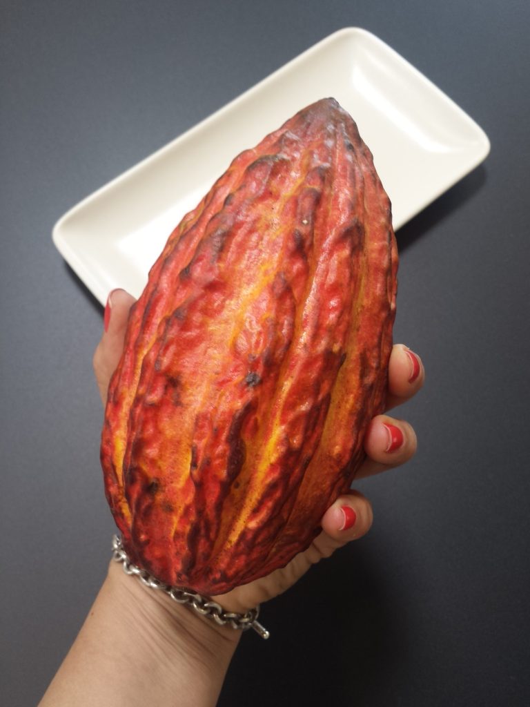 cocoa pod