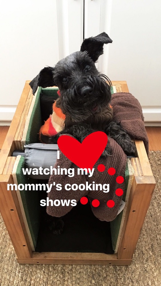 83485_4e05635a4678a239